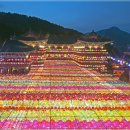삼광사 Daum카페