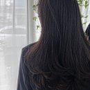 정해2호 이미지