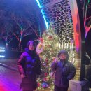 고령주유소 | [ 고령_ 대가야수목원 ] 눈내리는 빛의 숲 다녀 온 후기