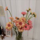 천송이플라워 이미지