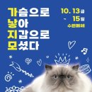 수원-1281 네이버블로그