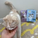 킴스덴탈 이미지