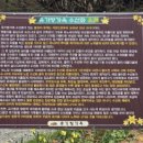우체국관사 옆 네이버블로그