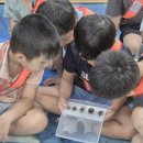 원암어린이집 이미지