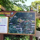 장성여행(축령산자연휴양림 산소길) 이미지