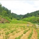 원흥태산공인중개사사무소 이미지