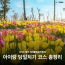 이마트24 태안미래점 | 2026 태안 튤립축제 아이랑 당일치기 코스 총정리