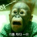 유별난 가위 Daum카페
