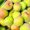 서기농장 이미지