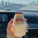용인 써닝포인트cc 겨울 라운딩 후기