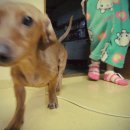 누리아미 이미지