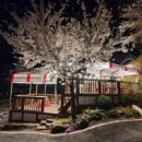 축령산 히든벨리 이미지