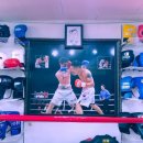 중독된복싱체육관 이미지