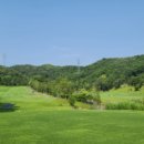 코스카cc 이미지