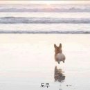 라온하제(즐거운 내일) 이미지