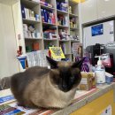 하선약국 이미지