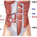 RESEFIT 네이버블로그