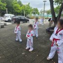 세심경희대태권도 | 지금동태권도 경희대최강태권도장 국기원 승품심사
