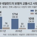 교통안전 캠페인 〈14〉 네덜란드 보행친화 도로 이미지