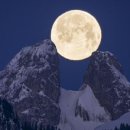 알프스뷔페 이미지