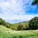 산속의정원 이미지