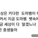 Re: 우주에 대한 풍자 해학 기롱거림 2019년 7월26일 녹화 강론 이미지