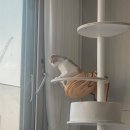 송이캣 | [오브바이폴] 캣타워 베이직 캣폴 후기 (+투명해먹 / 냥바구니)
