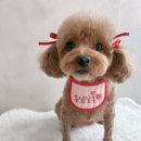 몽심살롱 이미지