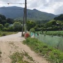 효자 오백주 정문 이미지