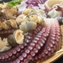 북평두부 - 삼척시 | [동해안_삼척] 쏠비치에서 가까운 문어맛집 아이들이랑 다녀온 로컬 맛집 내돈내산 후기!