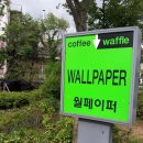 페이퍼브런치 이미지