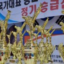 용인대비룡태권도장 이미지