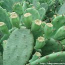 주덕농장 이미지