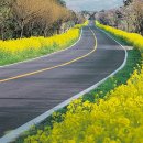 애플부동산공인중개사사무소 이미지