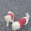 늘해랑가족펜션 이미지