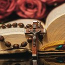 양재대로 156길 이미지