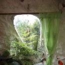 제이엠 하우스 이미지