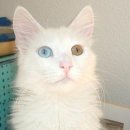 이승준농장 이미지