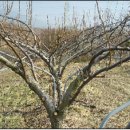 이영농장 이미지