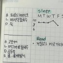 1월 첫째주~둘째주