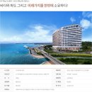 양양하우스 Daum카페