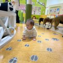 아가랑도서관 2층 | 자운대에서 가까운 장난감도서관 실내놀이터 이용하기 (노은 본점) _ 놀이체험 예약 및 이용 후기