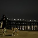 조재진동물병원 이미지