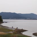 김포애견클럽 이미지