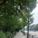 금곡로7번길 이미지