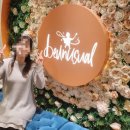 (주)아트쉐어 | [선정릉역] 비언유주얼 두 번째 방문기/겨울코스로 엄마 생신 보내기