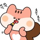 JC태권도장 이미지