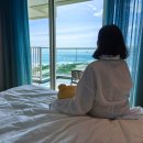 햄스터 라운지 | 나트랑 알마리조트 가족여행 숙소 재방문 추천 후기