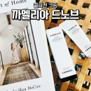 까멜리아 | 까멜리아 드노브 콜라겐 크림 솔직 사용 후기 공개
