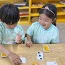 5의 보수 할리갈리 이미지